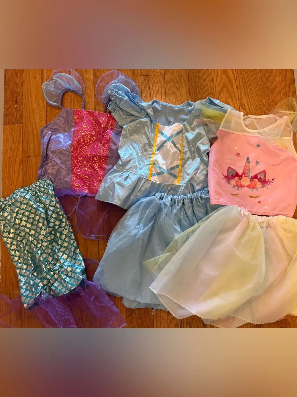 Mix and match princess costumes